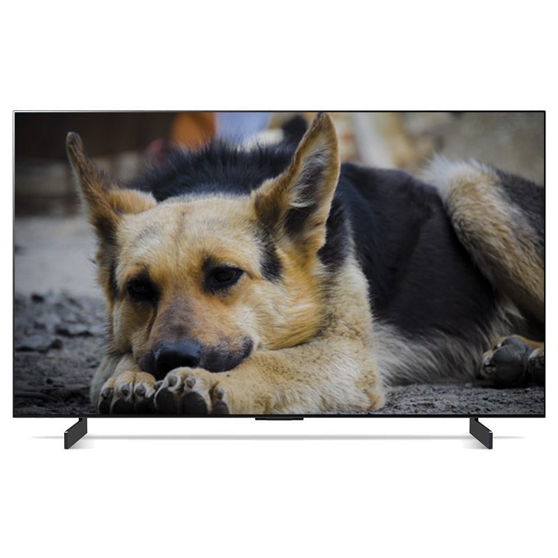 Smart tivi LG OLED 4K 42 inch 42C2PSA